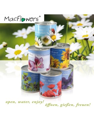 MacFlowers® | Kleines Anzuchtset mit bunter Blumenmischung | "Golferträume" | Geschenk Set in süßer instant Blumendose