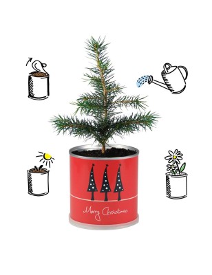 2 Stück MacFlowers® Weihnachtsbaum in der Blumendose | Merry Christmas Rot | Tannenbaum Adventskalender Wichteln Nachhaltig