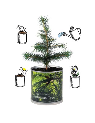 2 Stück MacFlowers® | Anzucht-Set mit Fichte Weihnachtsbaum | Christmas Tree | instant gardening | Wichteln Adventskalender