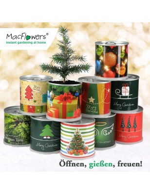 2 Stück MacFlowers® | Anzucht-Set mit Fichte Weihnachtsbaum | Nostalgisch | instant gardening | Wichteln Adventskalender