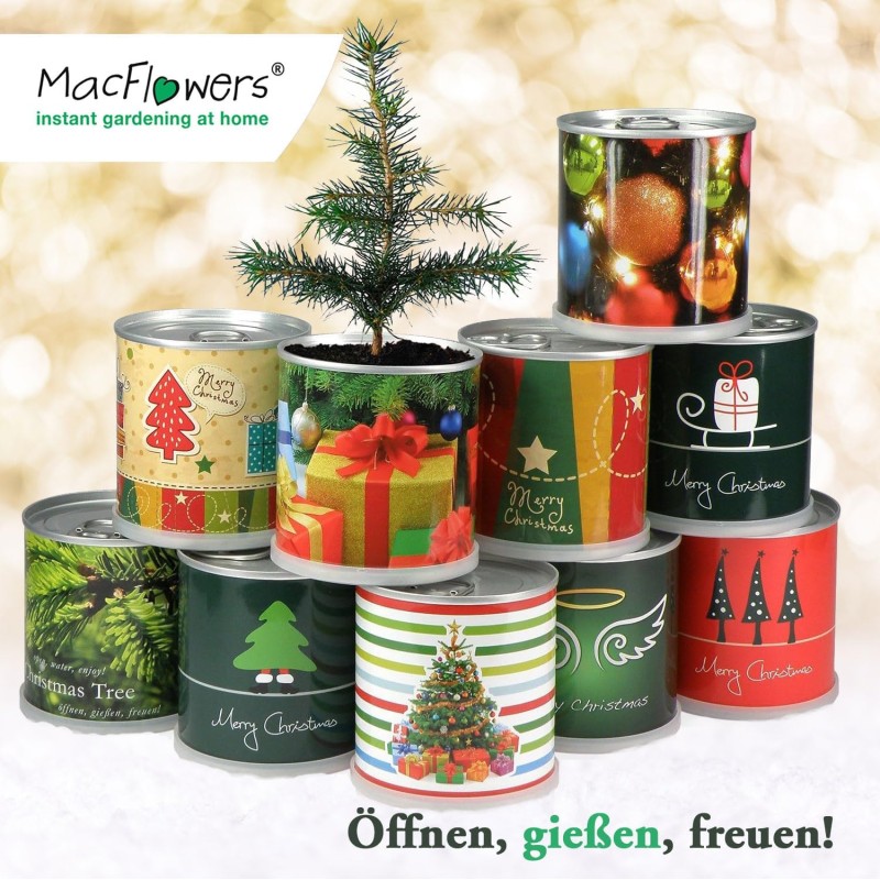 2 Stück MacFlowers® | Anzucht-Set mit Fichte Weihnachtsbaum | Nostalgisch | instant gardening | Wichteln Adventskalender