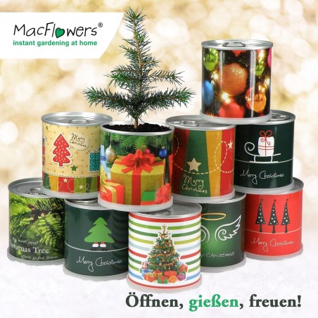 2 Stück MacFlowers® | Anzucht-Set mit Fichte Weihnachtsbaum | Nostalgisch | instant gardening | Wichteln Adventskalender