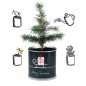 2 Stück MacFlowers® | Anzucht-Set mit Fichte Weihnachtsbaum | Schlitten | instant gardening | Wichteln Adventskalender