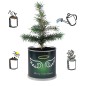 2 Stück MacFlowers® | Anzucht-Set mit Fichte Weihnachtsbaum | Engel | instant gardening | Wichteln Adventskalender