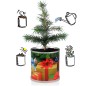 2 Stück MacFlowers® | Anzucht-Set mit Fichte Weihnachtsbaum | Geschenke | instant gardening | Wichteln Adventskalender