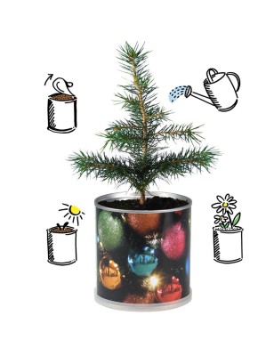 2 Stück MacFlowers® | Anzucht-Set mit Fichte Weihnachtsbaum | Kugeln | instant gardening | Wichteln Adventskalender