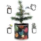 2 Stück MacFlowers® | Anzucht-Set mit Fichte Weihnachtsbaum | Kugeln | instant gardening | Wichteln Adventskalender