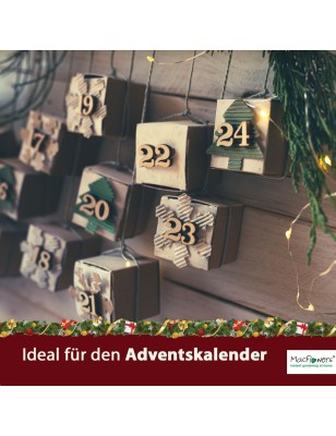 MacFlowers® Weihnachtsbaum in der Blumendose | 4 Stück | Merry Christmas Rot | Dein Anzuchtset | Adventskalender Wichteln