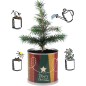 2 Stück MacFlowers® | Anzucht-Set mit Fichte Weihnachtsbaum | Sterne | instant gardening | Wichteln Adventskalender