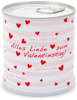 Blumengrüße aus der Dose - Valentinstag Herzchen mit Veilchen