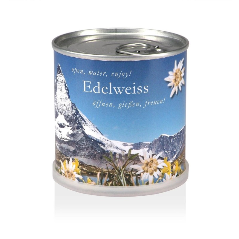 MacFlowers® | Kleines Anzuchtset mit Edelweiß | Design Alpen |Geschenk Set mit Einer Sorte Samen in süßer instant Blumendose