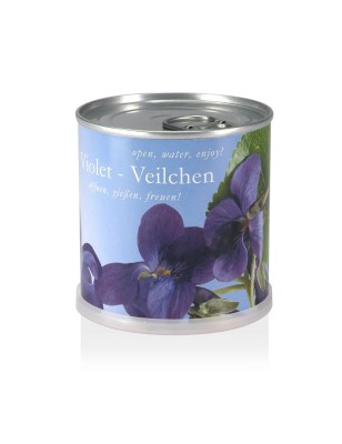 MacFlowers® | Kleines Anzuchtset mit Veilchen | Geschenk Set mit Einer Sorte Samen in süßer instant Blumendose