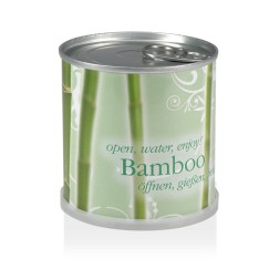 MacFlowers® Blumen in der Dose Bambus - Bamboo | Anzuchtset Besondere Geschenkidee und als Geschenk Dankeschön