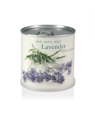 MacFlowers® Blumen in der Dose - Lavendel