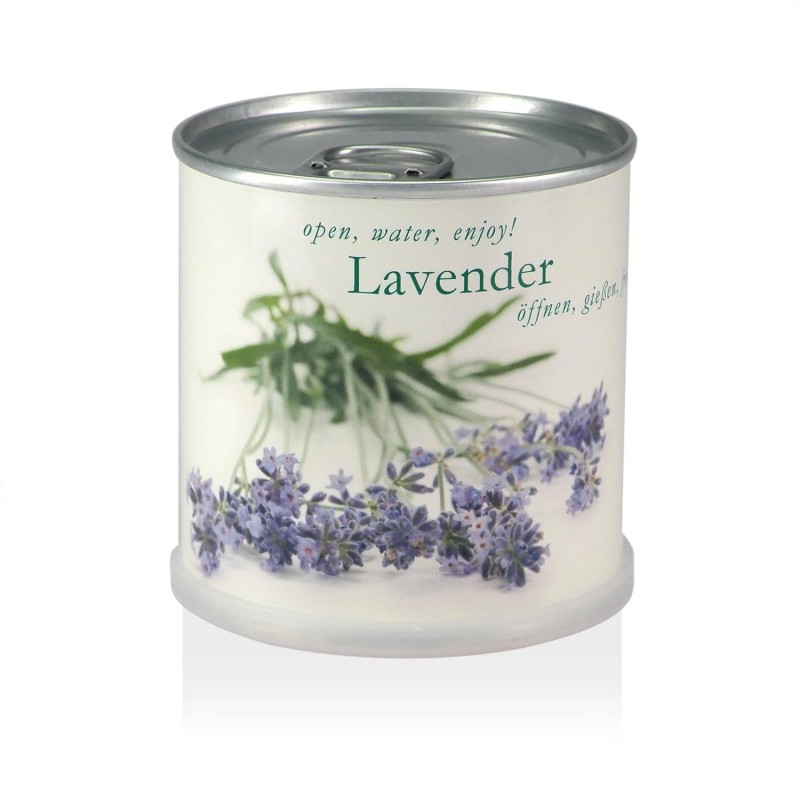 MacFlowers® Blumen in der Dose - Lavendel