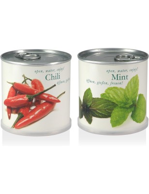 MacFlowers® Blumen in der Dose Geschenk Set - Chili - Minze