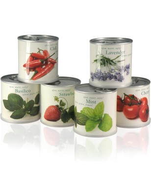 MacFlowers® Blumen in der Dose Geschenk Set Cherry Tomato - Basilico