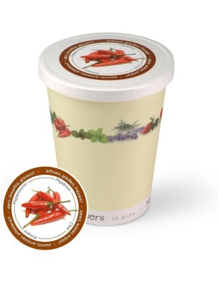 MacFlowers® Extragifts Blumen im Becher to Grow - Chili/Peperoni