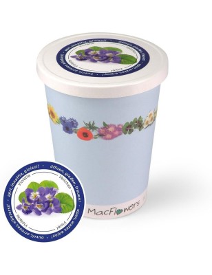 MacFlowers® Extragifts Blumen im Becher to Grow - Veilchen