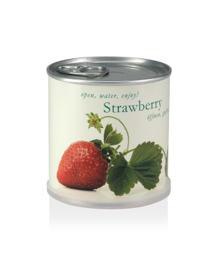 MacFlowers® Extragifts Blumen in der Dose - Erdbeere/Strawberry