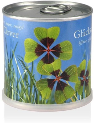 MacFlowers® Extragifts Blumen in der Dose - Glücksklee