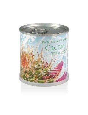 MacFlowers® Extragifts Blumen in der Dose - Kaktus - Cactus