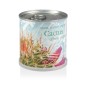 MacFlowers® Extragifts Blumen in der Dose - Kaktus - Cactus