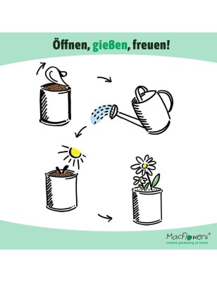 MacFlowers Extragifts Blumen in der Dose - Kresse/Cress