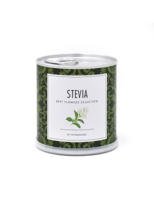 MacFlowers Honigkraut/Süßkraut/Stevia aus der Dose