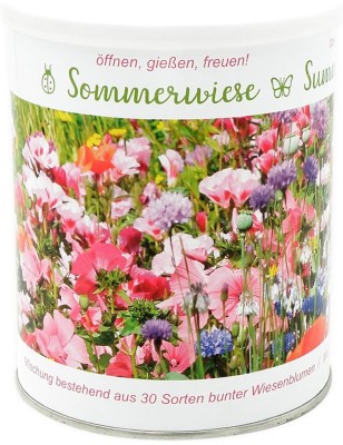 Sommerwiese enthält 30 verschiedene Wildblumenarten sowie Grassamen - Anzuchtset mit 30 Sorten eine Freude für Bienen