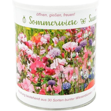 Sommerwiese enthält 30 verschiedene Wildblumenarten sowie Grassamen - Anzuchtset mit 30 Sorten eine Freude für Bienen