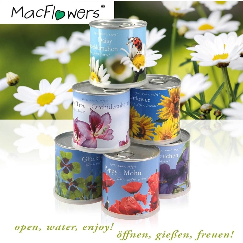 MacFlowers® kleines Anzuchtset mit Krauser Petersilie | Eine Sorte Samen in niedlicher Blumendose