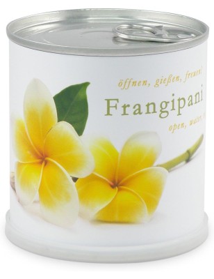 MacFlowers Frangipani | Anzuchtset als besondere Geschenk | Instant gardening | Samen Anzuchtset | Geschenk Dankeschön Yoga