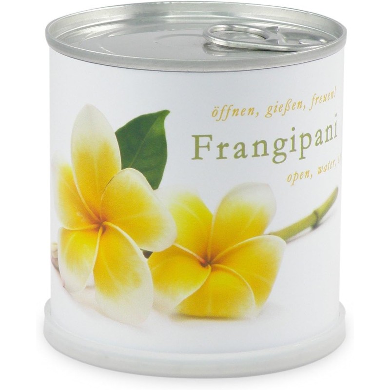 MacFlowers Frangipani | Anzuchtset als besondere Geschenk | Instant gardening | Samen Anzuchtset | Geschenk Dankeschön Yoga